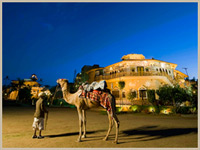 Camel Safari In Jodhpur